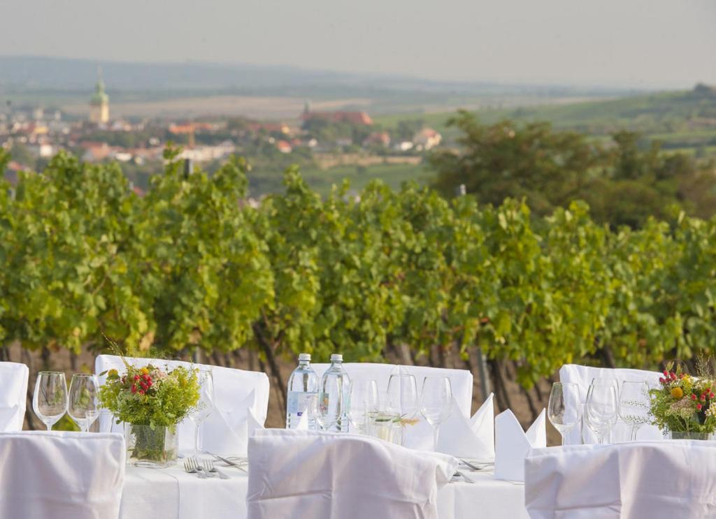 Rebenhof Schwalm Διαμέρισμα Herrnbaumgarten Εξωτερικό φωτογραφία